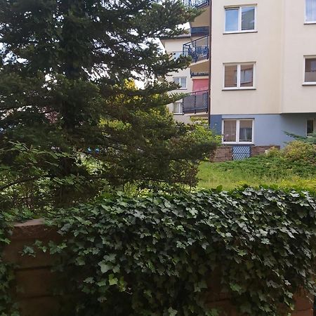 Apartament, 2 Pokoje, Stacja Metra Kabaty, Ursynow Warschau Exterior foto